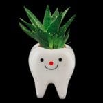 Large Tooth-Shaped Planter - Image 3